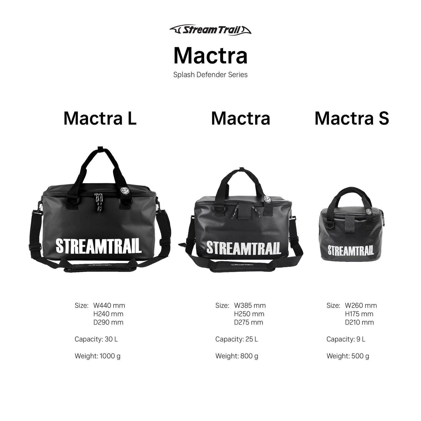 Mactra L